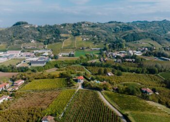 Investissements agricoles: 345,7 MD approuvés en 9 mois avec une nouvelle répartition régionale
