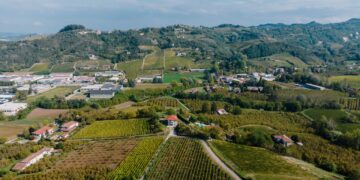 Investissements agricoles: 345,7 MD approuvés en 9 mois avec une nouvelle répartition régionale